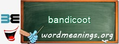 WordMeaning blackboard for bandicoot